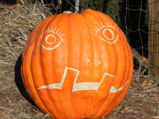 Greeter, Nipomo Pumpkin Patch best carving idea